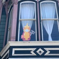 A photo of a sign in a window. The sign is of a honey bear with a BLM sign.