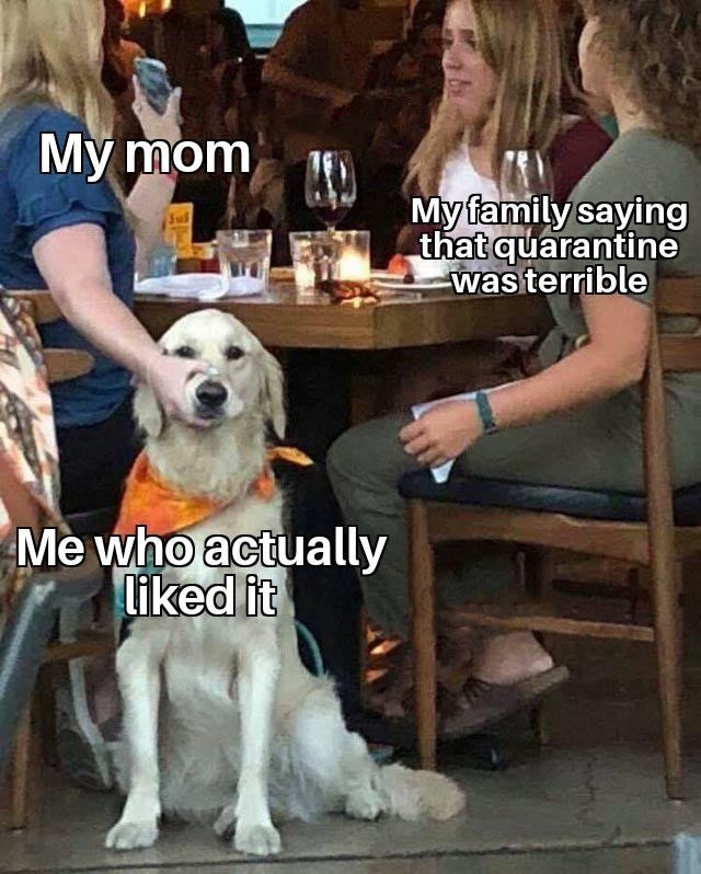 This is a picture of a meme which depicts three women sitting at an outside table at a restaurant with a dog. One woman is reaching down to keep the dogs mouth shut. The woman is labeled with text reading "My mom", while the other people at the table are labeled as "my family saying that quarantine was terrible". The dog is labeled "me who actually like it". 