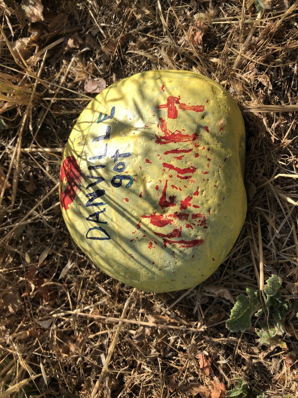 This is a picture of a rock that has been painted yellow.