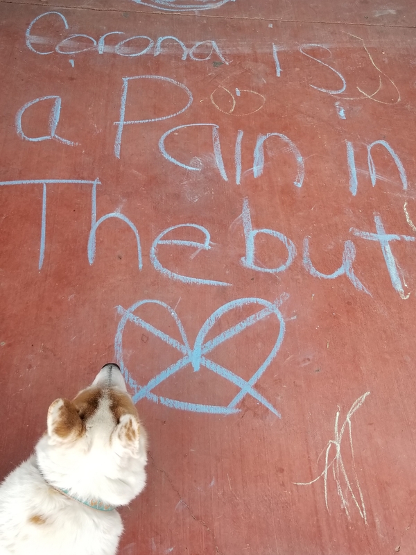 Chalk writing with a dog laying on it. 