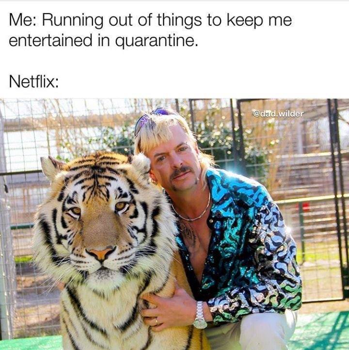 A meme that says: "Me: Running out of things to keep me entertained quarantine." "Netflix:" And then has a picture of Joe Exotic from Tiger King. 