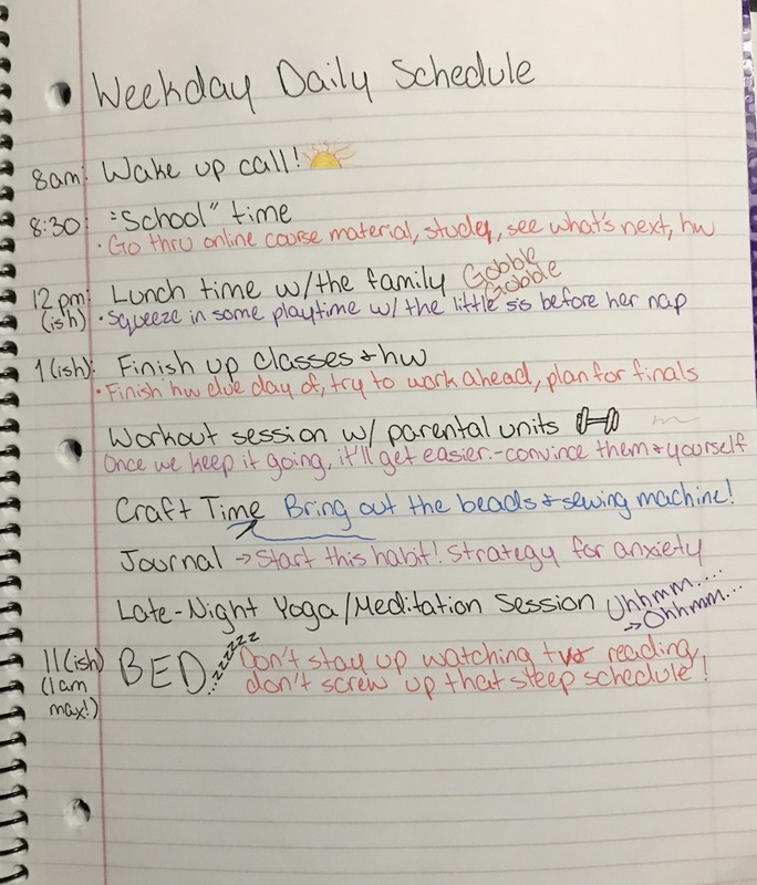 A handwritten "Weekday Daily Schedule".