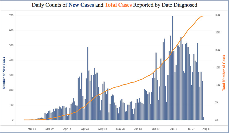 A graph showing both new and total cases in Kansas from March 14 until August 11. 