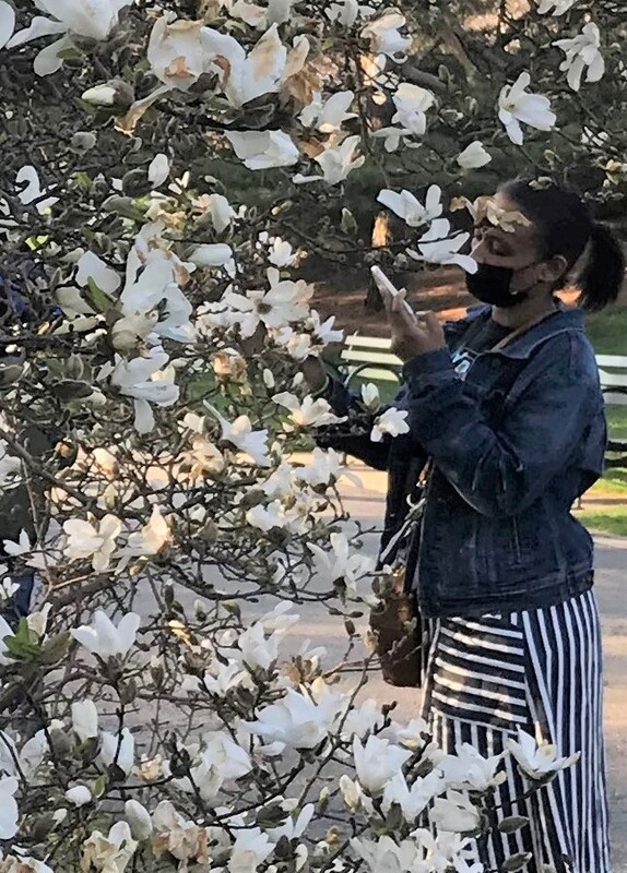 This is a picture of a woman in a public space wearing a face mask taking a photo of a plant with many white flowers. 