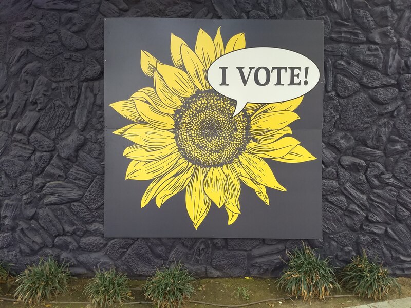 This is a picture taken of a painting hung on a wall. The painting depicts a sunflower with a speech bubble hanging over it, with the words "I vote!" in it. 