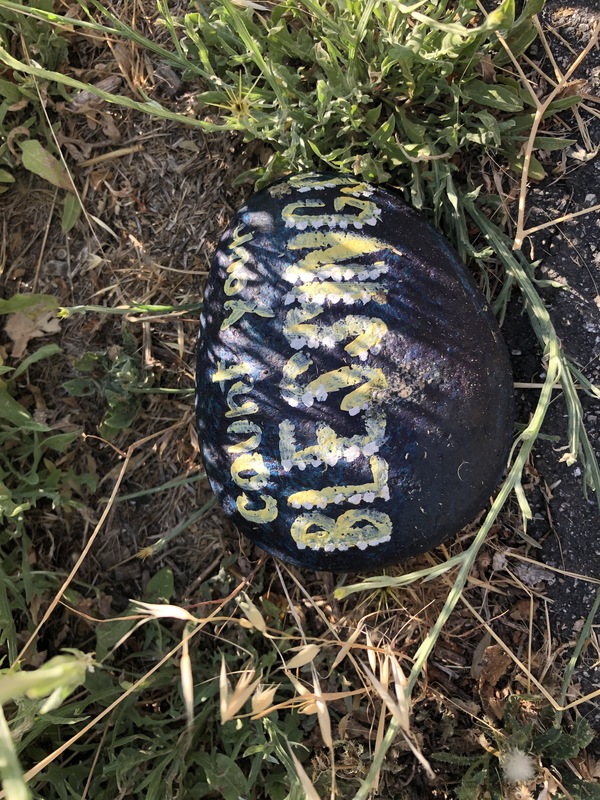 This is a picture of a rock that has been painted yellow and purple.