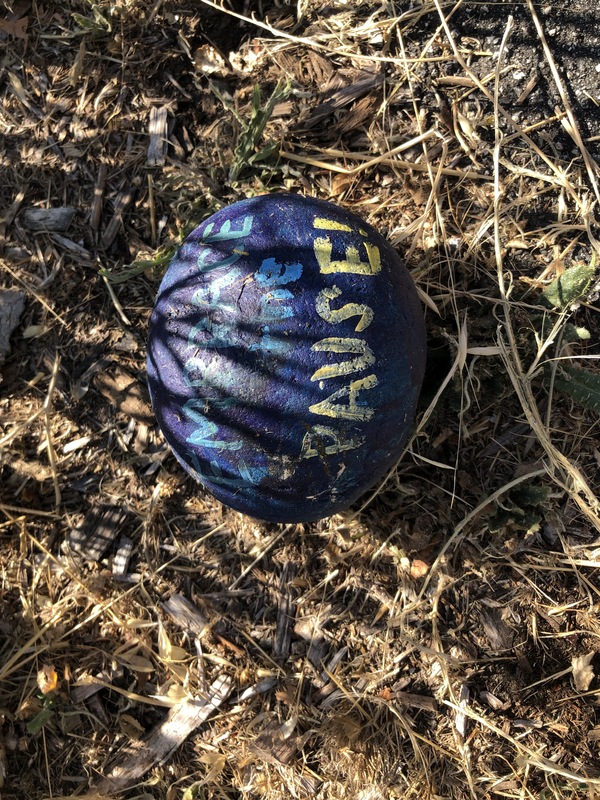 This is a picture of a rock that has been painted purple.