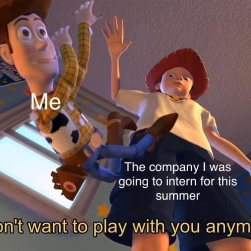 A meme of Toy Story where Andy is dropping Woody. The meme says: "The company I was going to intern for this summer." "I don't want to play with you anymore".