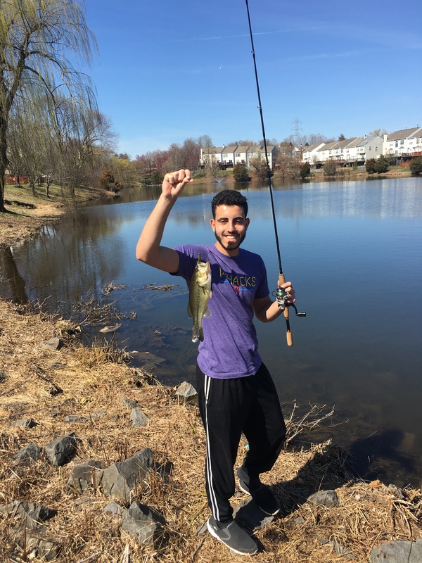A person in a purple shirt and black pants is standing near a lake holding line with a fish on it in their right hand and a fishing pole in their life.