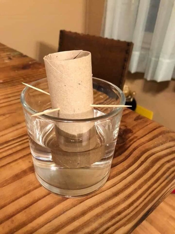 Image of a toilet paper roll in a glass of water like it's going to sprout a seed of toilet paper.