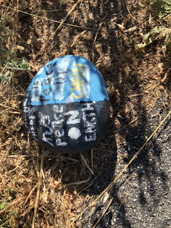 This is a picture of a rock that has been painted black and blue.