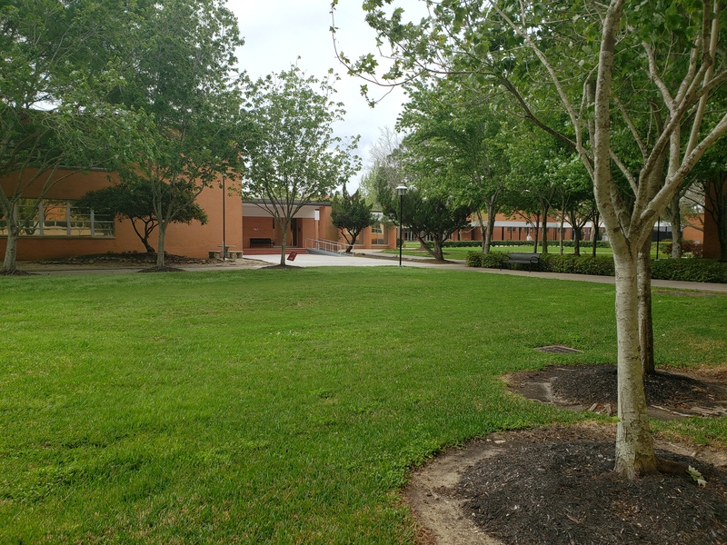 Green grass that has trees surrounding it. Beyond the grass is sidewalks leading up to a building. The area is completely empty. 