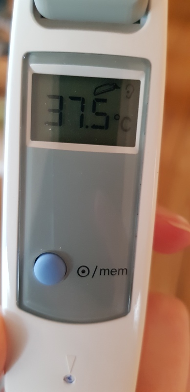 A picture of a thermometer, which reads "37.5 C".  