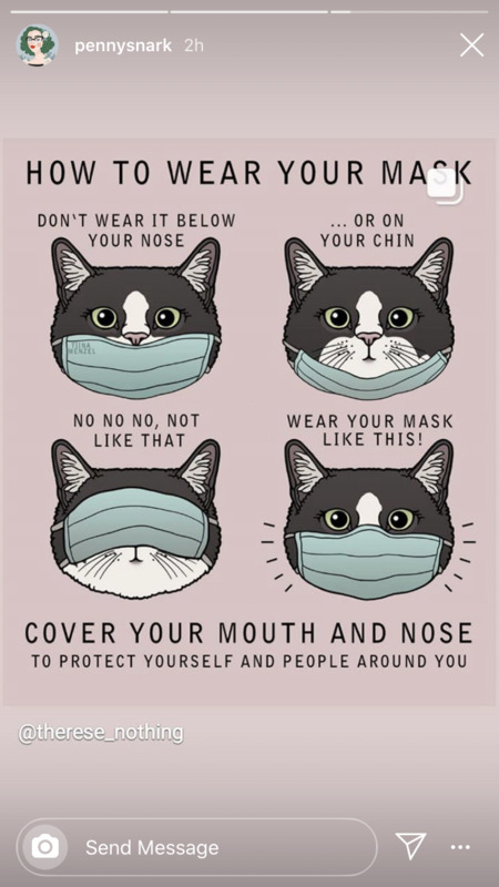 A graphic on social media featuring cats wearing masks in different ways.
