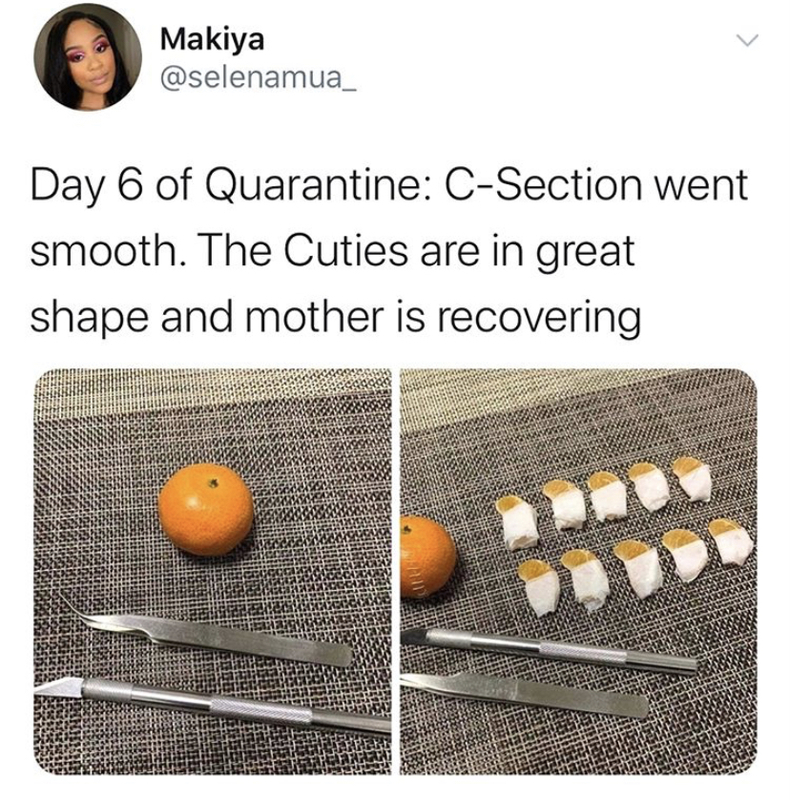 Social media post by @selnamua of a meme with text, "Day 6 of Quarantine: C-Section went smooth. The Cuties are in great shape and mother is recovering." Photos below: (left) a cutie with tweezers and X-Acto knife; (right) a cutie stapled back together with tape, ten cutie slices wrapped individually, tweezer, and X-Acto knife.