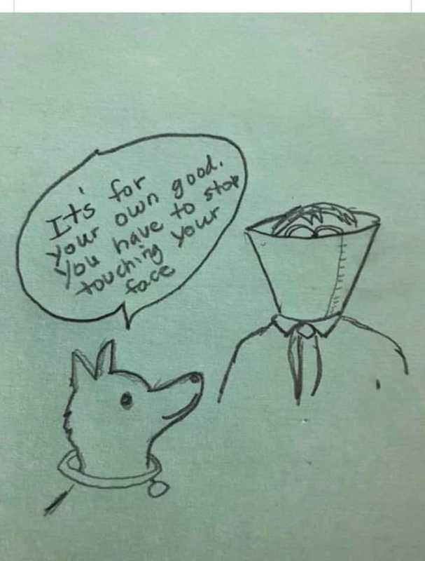 A drawing of a dog telling a person with a cone on their head "Its for your own good. You have to stop touching your face." 