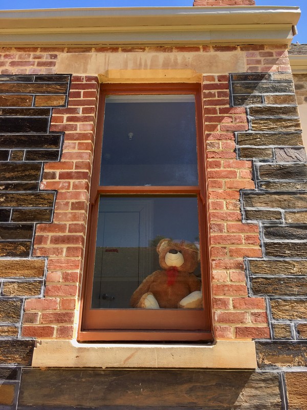 A brown teddy bear that was placed in a museum window. 