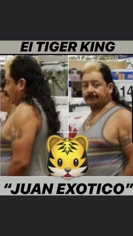 A screenshot of a meme with a man that has a mullet. It says: "El Tiger King Juan Exotico".