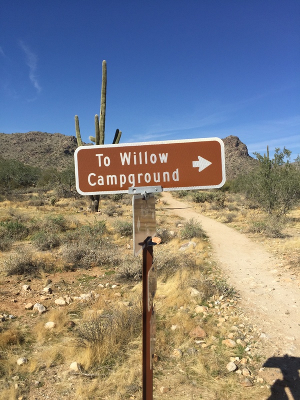 This is a picture of a sign in a desert landscape which reads "To Willow Campground". A saguaro cactus is in the background. 