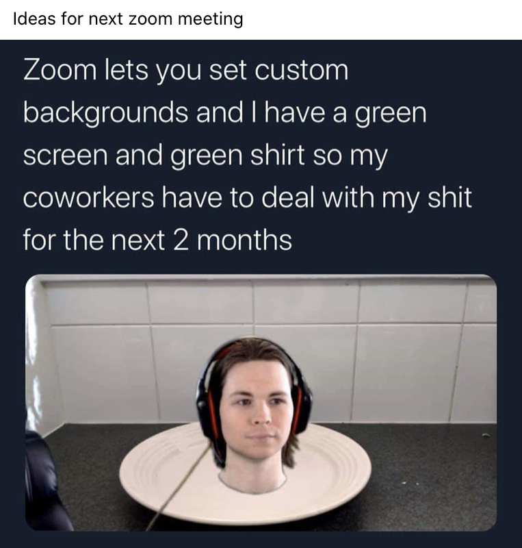 Twitter post that says "Zoom lets you set custom backgrounds and I have a green screen and green shirt, so my coworkers have to deal with my shit for the next two months", with an image of a floating head on a plate attached.