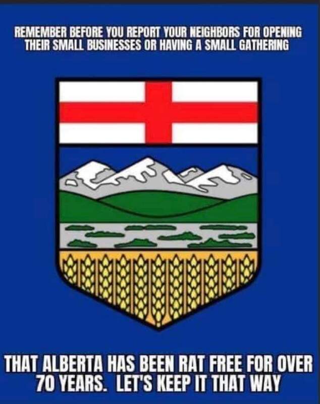 This is an image depicting the Coat of arms of Alberta, along side text that reads: "Remember before you report your neighbors for opening their small business or having a small gathering that Alberta has been rat free for over seventy years. Lets keep it that way."