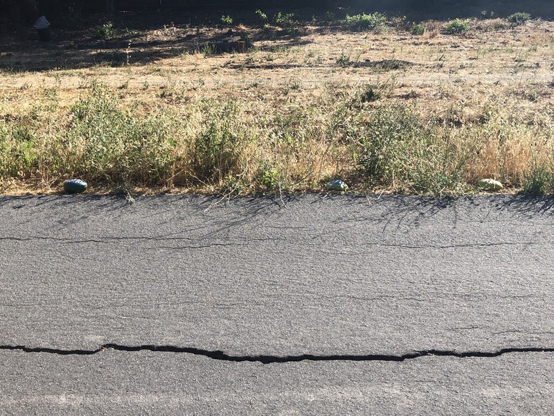 This is a picture of a cracked portion of asphalt. 