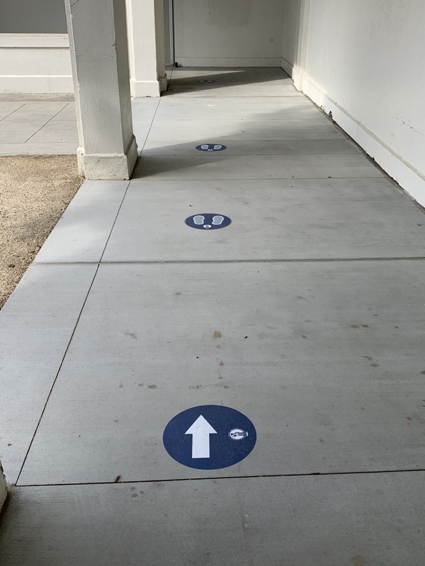 This is a picture of blue stickers on a concrete path that encourage those walking on it to practice social distancing. 