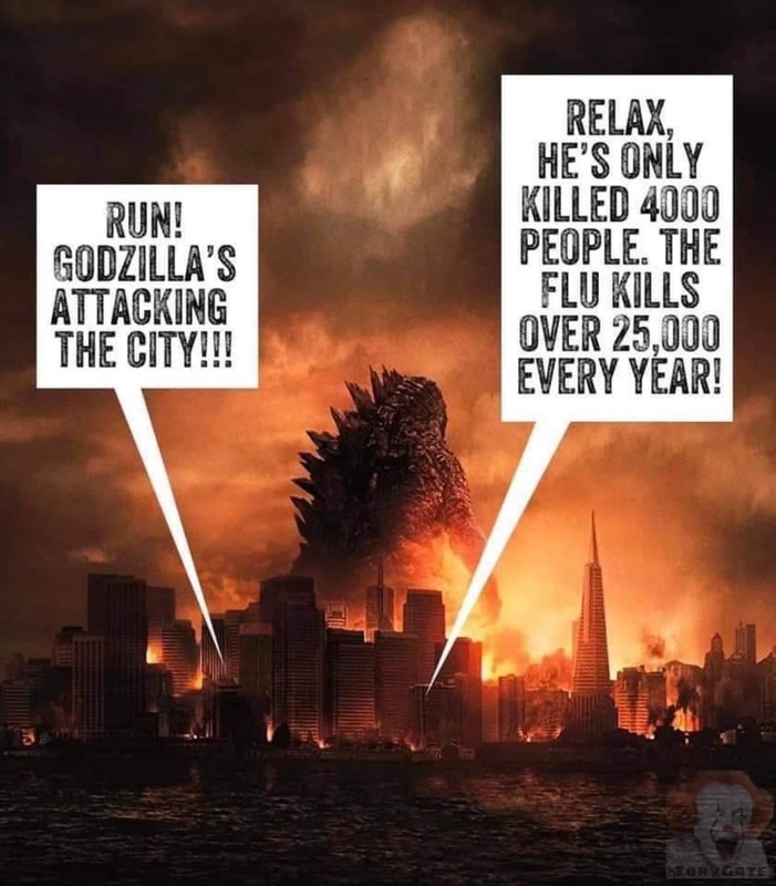 Godzilla is walking through a city that is on fire. The talk bubble one the right says: RUN! GODZILLA'S ATTACKING THE CITY!!! The talk bubble on the right says: RELAX, HE'S ONLY KILLED 4000 PEOPLE. THE FLU KILLS OVER 25,000 EVERY YEAR!