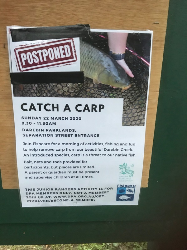 A piece of paper taped onto a sign that is about an event titled "Catch A Carp" that has the words "Postponed" taped at the left corner. 