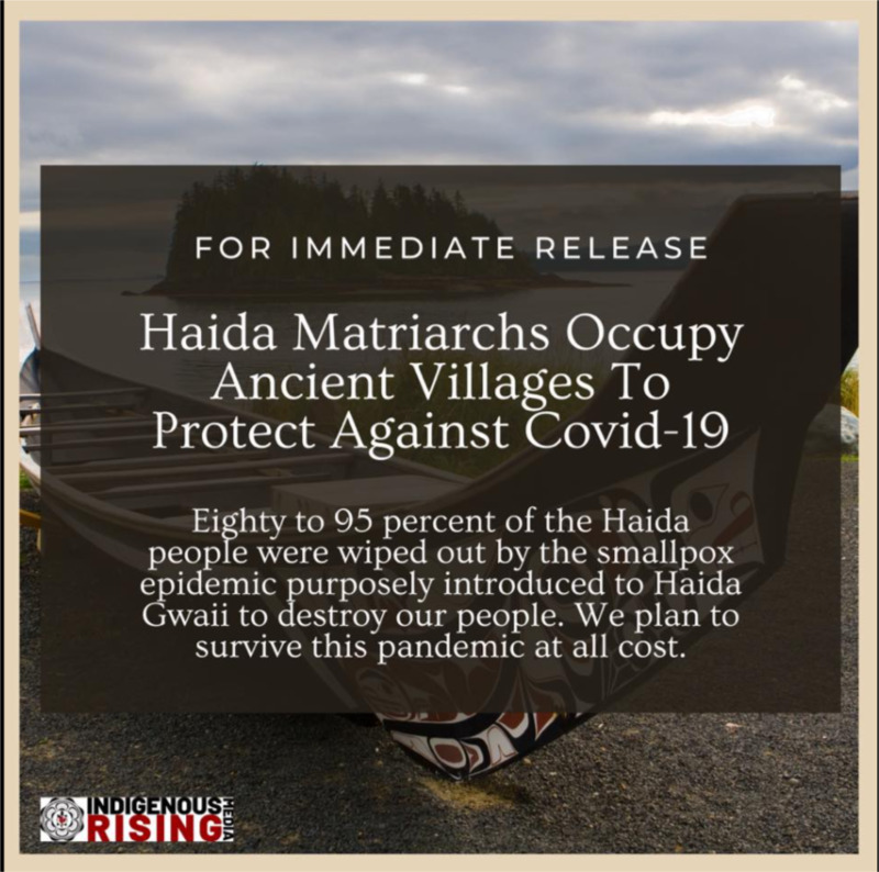 This is a picture taken of a painted canoe beached on the shore of a body of water. A caption reads "For immediate release: Haida Matriarchs Occupy Ancient Villages to Protect Against COVID-19. Eighty to 95 percent of the Haida people were wiped out by the smallpox Epidemic purposely introduced to Haida Gwaii to destroy our people. We plan to survive this pandemic at all cost." 