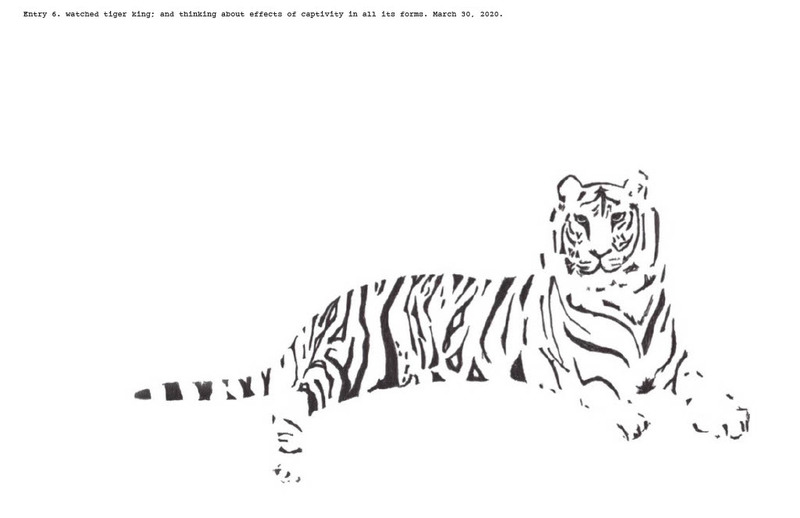 Drawing of a tiger. 