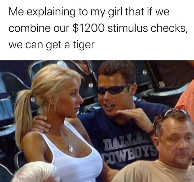 Meme that says "Me explaining to my girl that if we combine our $1200 stimulus checks, we can get a tiger." 