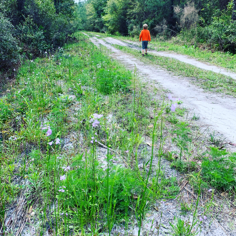 This is a picture of a young boy walking along a dirt path in a rural, forested area. He is wearing an orange shirt and blue shorts. 