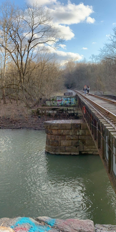This is a picture of a railroad bridge that goes over a stream, and into a forest. Two people are walking on it. 