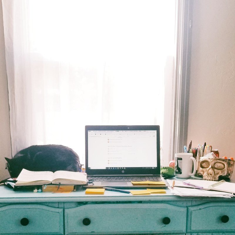 A Laptop and a cat lying on a blue desk.