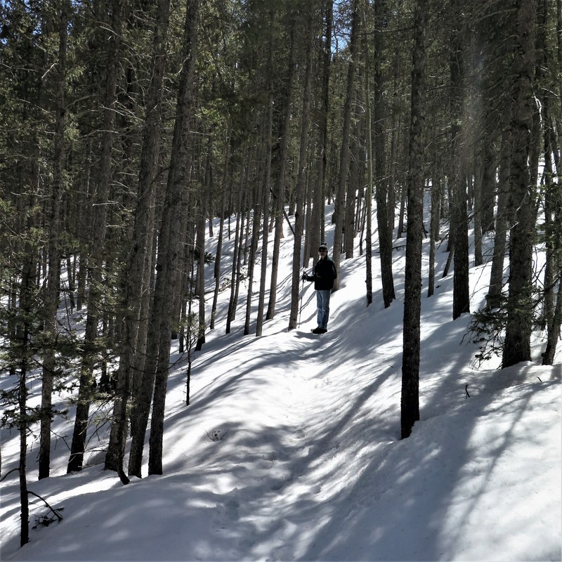 A person in the woods on a snowy trail. 