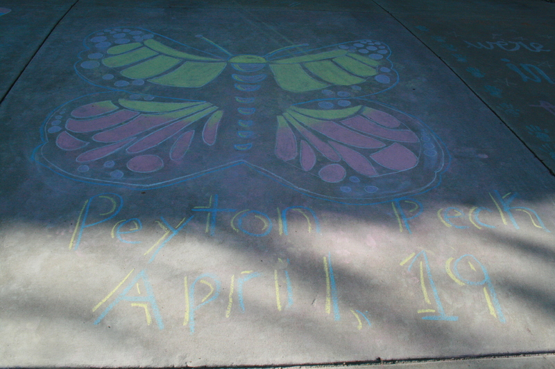 A chalk drawing of a butterfly. 