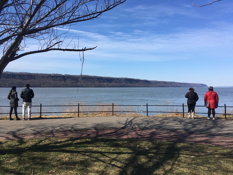 People social distancing  looking at a body of water while at a park. 