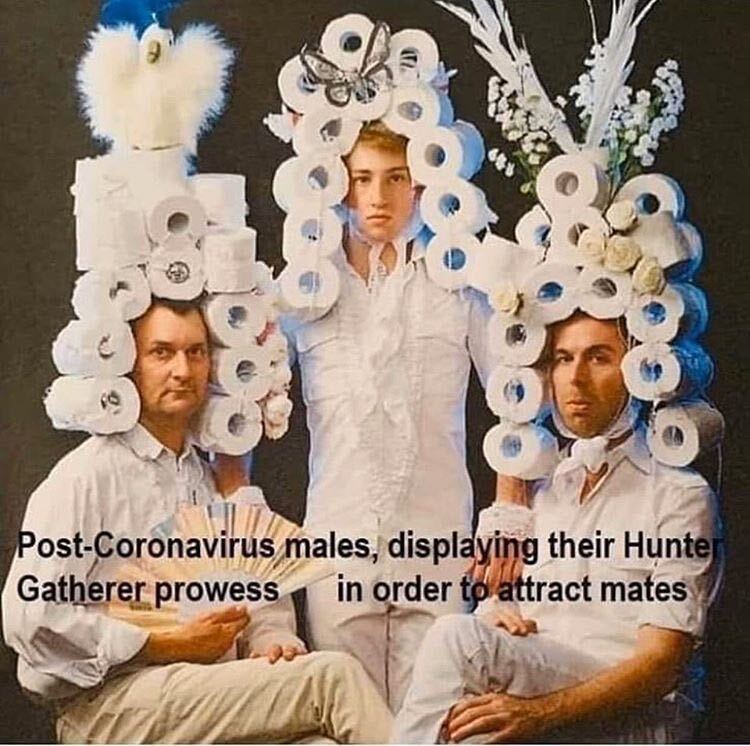 A meme that says "Post coronavirus males, displaying their hunter gatherer prowess in order to attract mates" with men wearing toilet paper as head dresses.