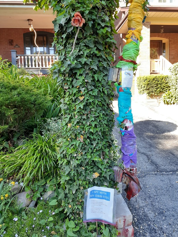 This is a picture of a tree that is covered in vines, and several different colored patches of cloth. A sign at its base reads "I spy with my own eyes", along with smaller text that is too small to read. 