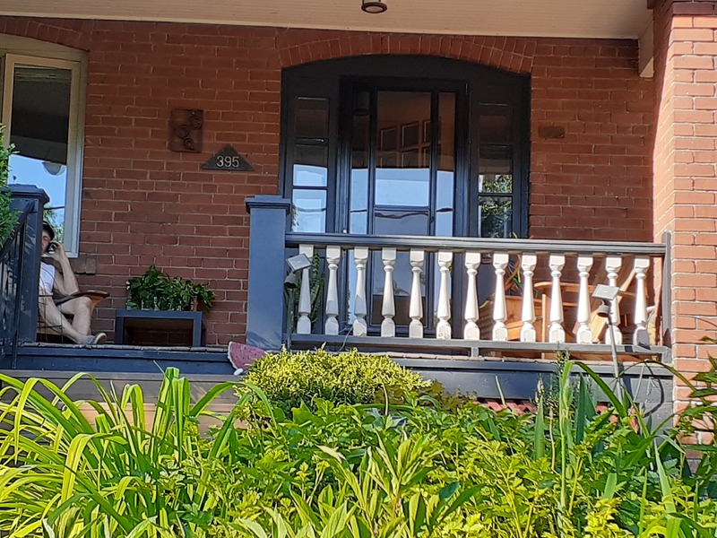 This is a picture taken of a group of green plants growing in front of a person's porch in their front yard. A man can be seen sitting in a chair on the porch. 