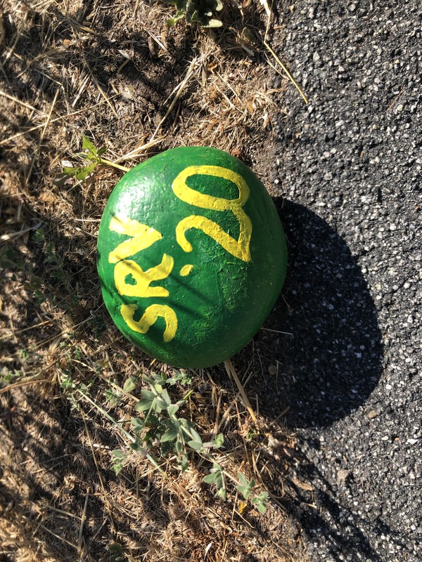 This is a picture of a rock that has been painted green and yellow.