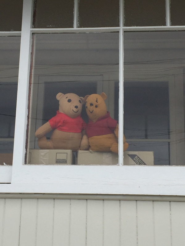 Two Winnie the Pooh bears sitting in a window. 