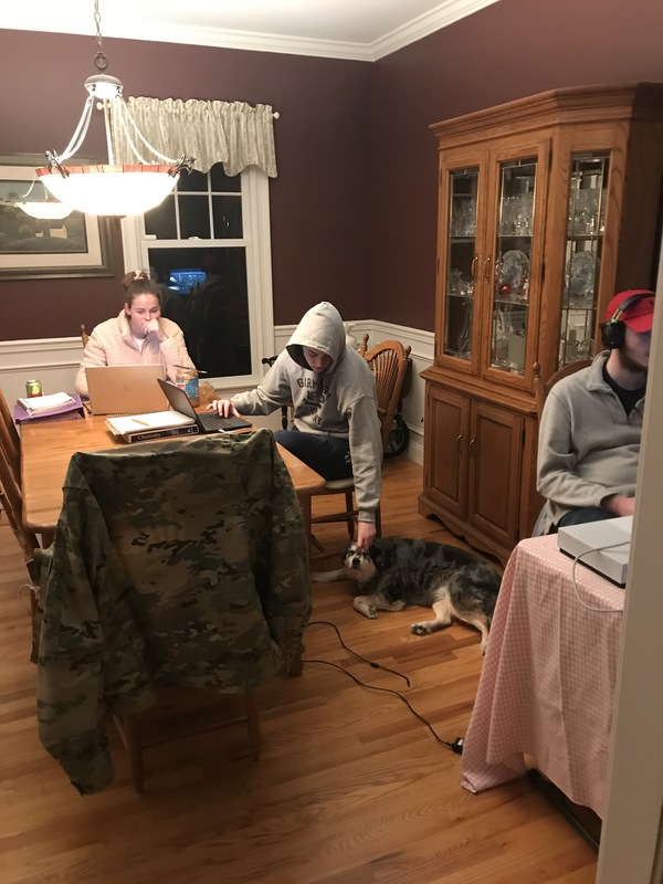 People in a dining room on laptops. 