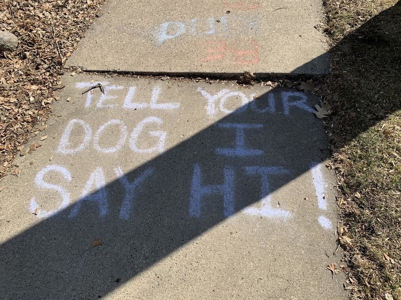 "Tell your dog I say hi" is written on the sidewalk with chalk. 