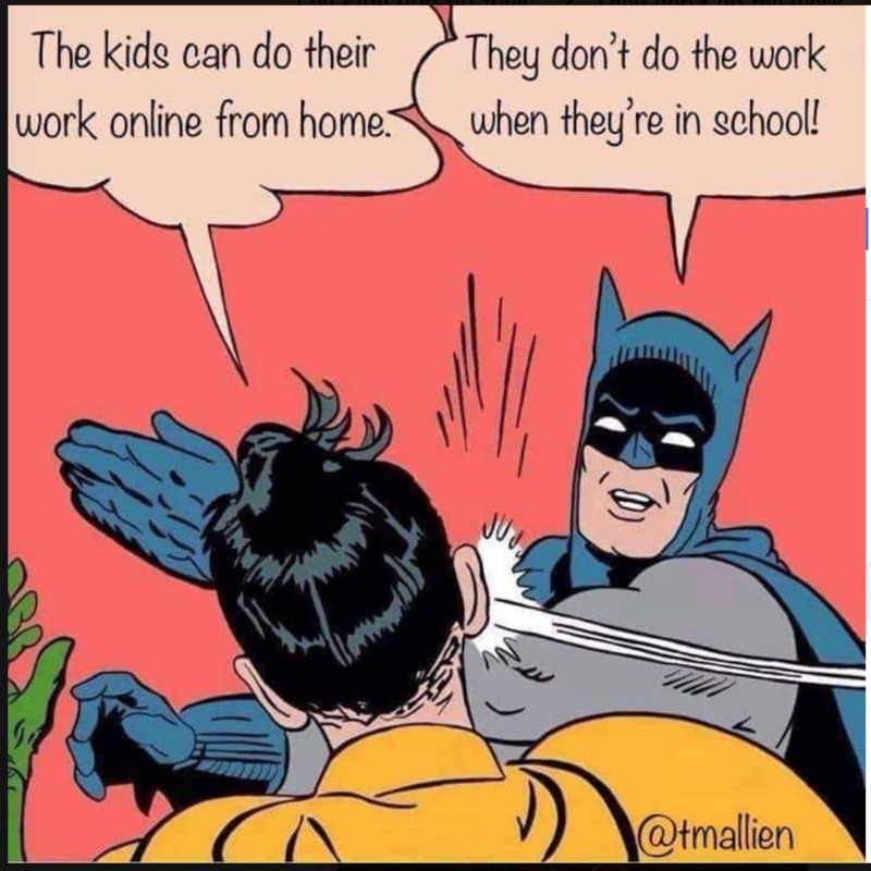 A meme of Batman slapping Robin. The quote bubble above Robin says: The kids can do their work online from home. The quote bubble above Batman says: They don't do the work when they're in school!