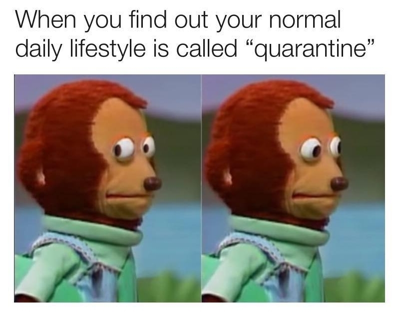 A meme of a monkey looking back and forth with text above of it that says: "When you find out your normal daily lifestyle is called quarantine".