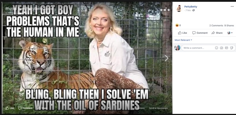 A screenshot of a meme on Facebook that says: "Yeah I got boy problems that's the human in me. Bling, bling then I solve 'em with the oil of sardines."