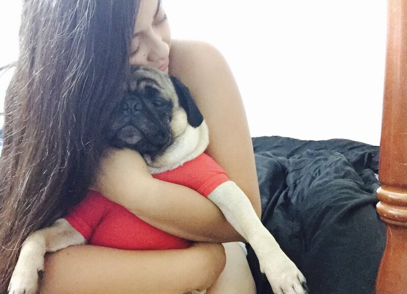 This is a photo of a girl hugging a pug dog that is wearing a red shirt.