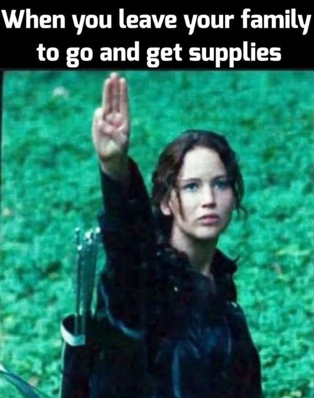 Text saying, "When you leave your family to go and get supplies," with Katiness Everdeen holding her bow and three fingers up to the sky. 